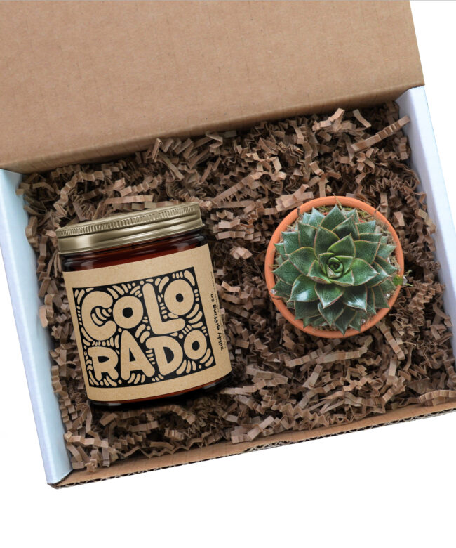 Colorado Personalized Soy Candle and Succulent Gift