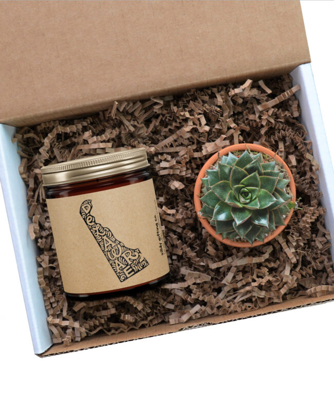 Delaware Personalized Soy Candle and Succulent Gift