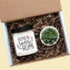Home Sweet Home with Hearts Personalized Soy Candle and Succulent Gift