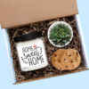 Home Sweet Home with Hearts Personalized Soy Candle and Succulent Gift