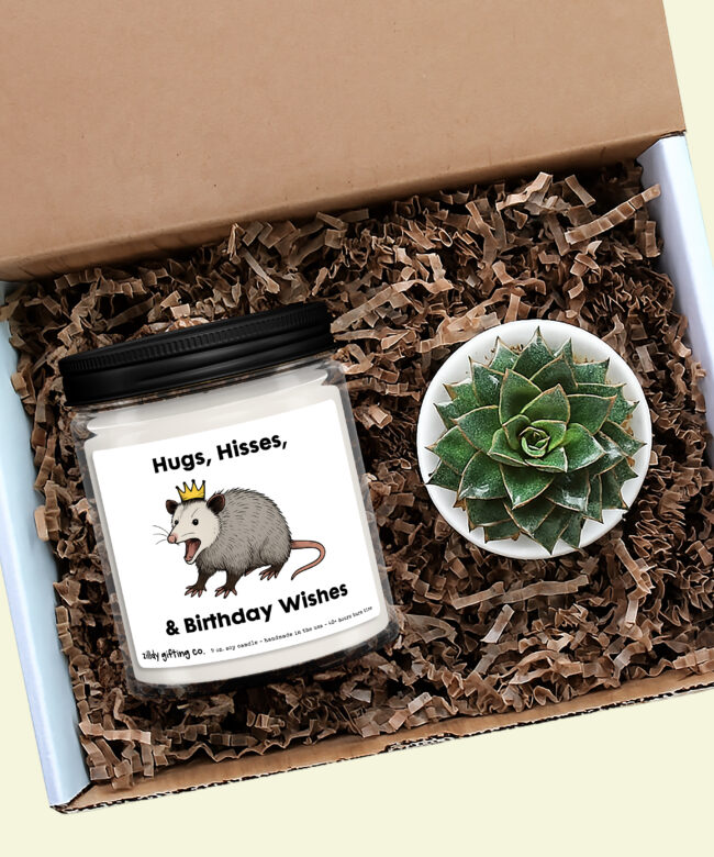 Hugs, Hisses, & Birthday Wishes with Opossum Personalized Soy Candle and Succulent Gift