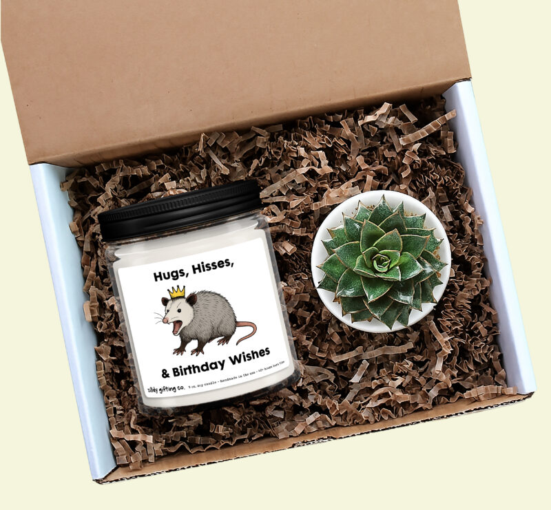 Hugs, Hisses, & Birthday Wishes with Opossum Personalized Soy Candle and Succulent Gift