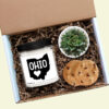 Ohio Personalized Soy Candle and Succulent Gift