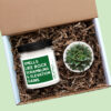Smells Like Rock Scrambling and Elevation Gains Personalized Soy Candle And Succulent Gift