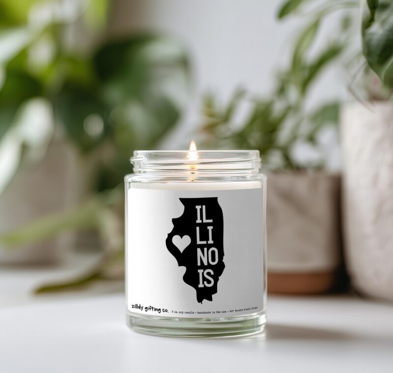 Illinois Personalized Soy Candle and Succulent Gift - Image 2