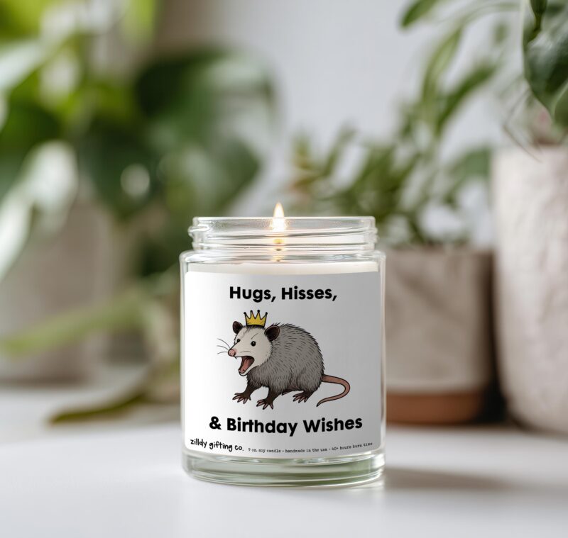Hugs, Hisses, & Birthday Wishes with Opossum Personalized Soy Candle and Succulent Gift - Image 4