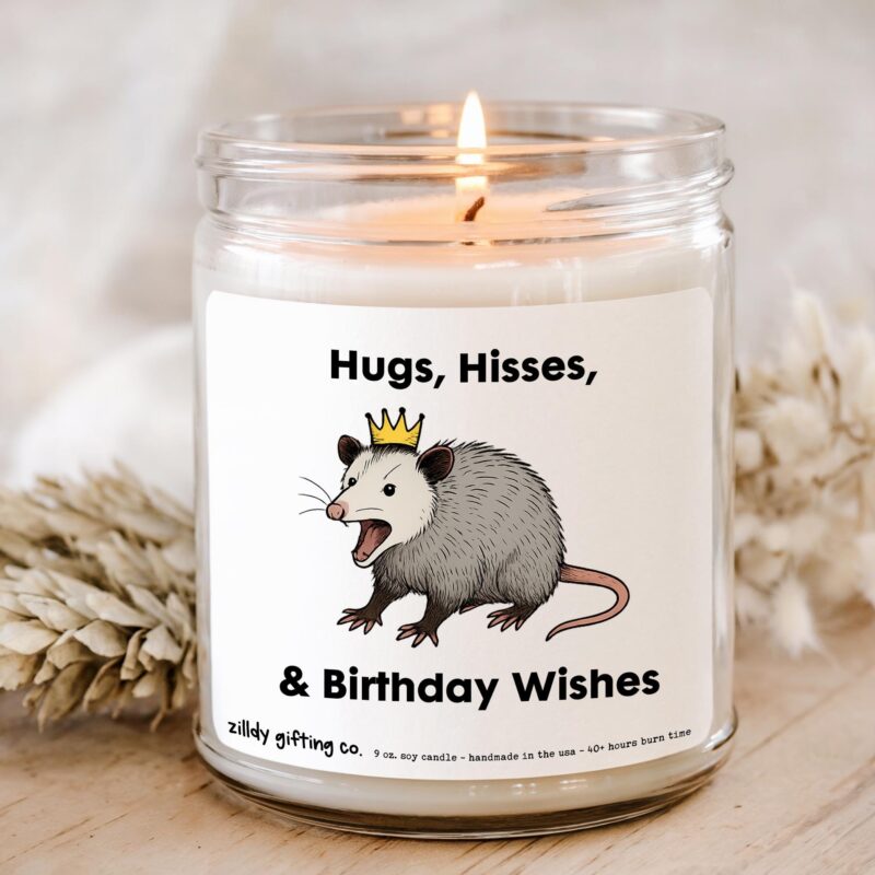 Hugs, Hisses, & Birthday Wishes with Opossum Personalized Soy Candle and Succulent Gift - Image 2