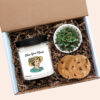 Bless Your Heart Personalized Soy Candle Gift Box, Succulent with Cookies