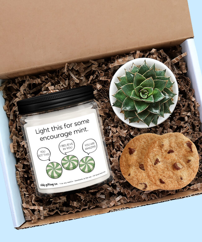 Encouragement Gift Box, “Light This for Some Encourage mint”, Personalized Soy Candle, Succulent & Cookies, Self Care Gift for Friend
