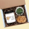 Cute Housewarming Gift Box “A Little Toast to Your New Home”, Soy Candle, Succulent & Cookies
